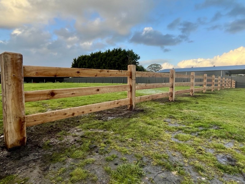 Three rail cypress post and rail fence on a small farm in Langwarrin